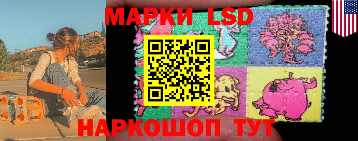 Наркотические марки 1,5мг  где продают наркотики  Касимов  Вход с VPN 