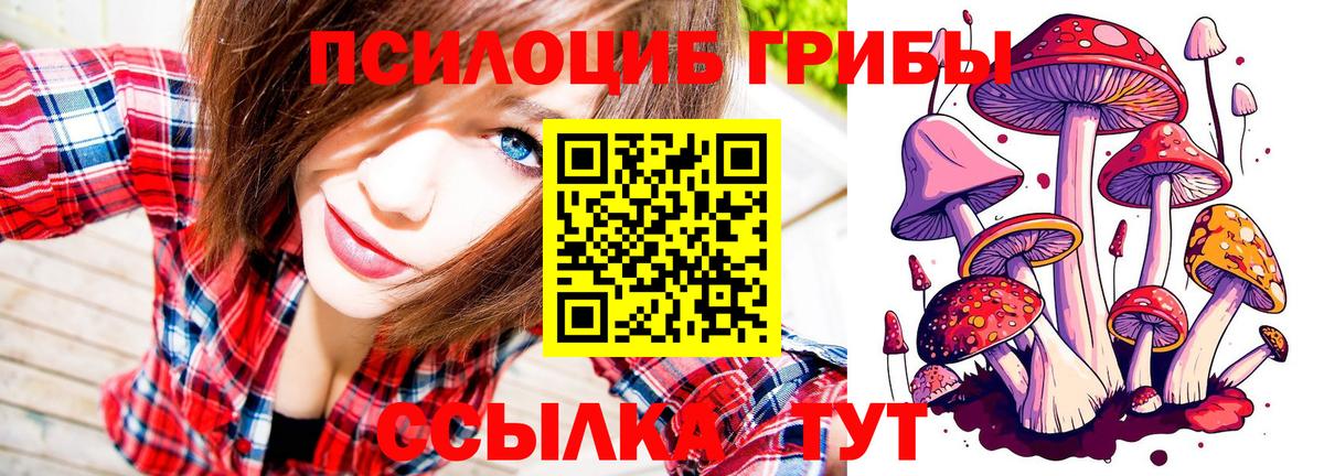 Касимов  Псилоцибиновые грибы ЛСД  Псилоцибиновые грибы прущие грибы  Вход с VPN 